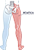 medical illness location